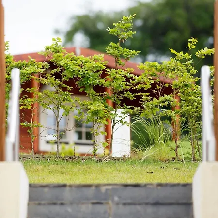 Giltraps Townhouse & Glamping ゲストハウス Kinnitty