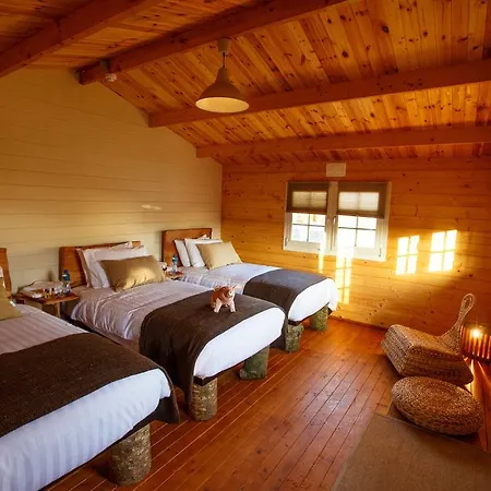 Giltraps Townhouse & Glamping בית הארחה Kinnitty